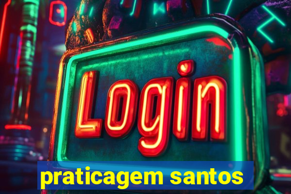 praticagem santos