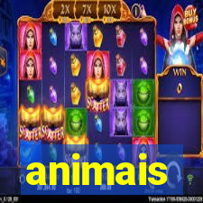 animais-pg.com