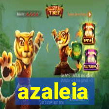 azaleia-br.com