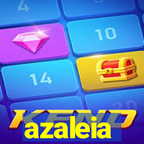 azaleia-br.com