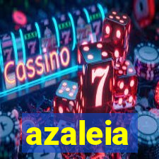 azaleia-br.com