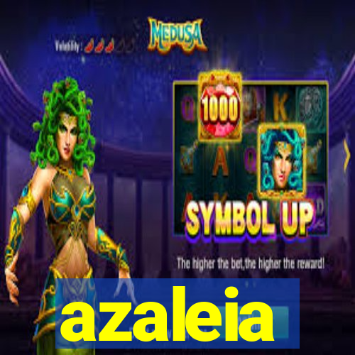 azaleia-br.com