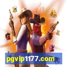 pgvip1177.com