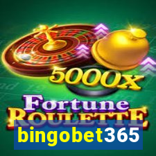 bingobet365