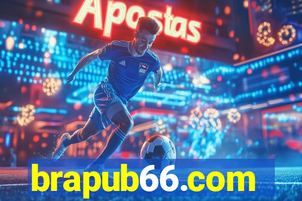 brapub66.com