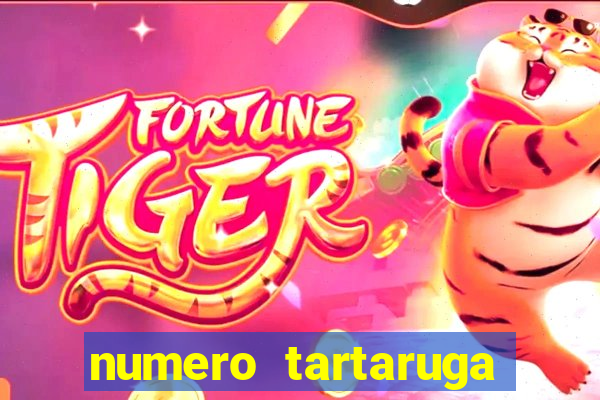 numero tartaruga jogo do bicho