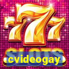 cvideogay