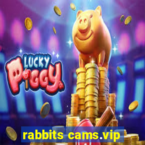 rabbits cams.vip