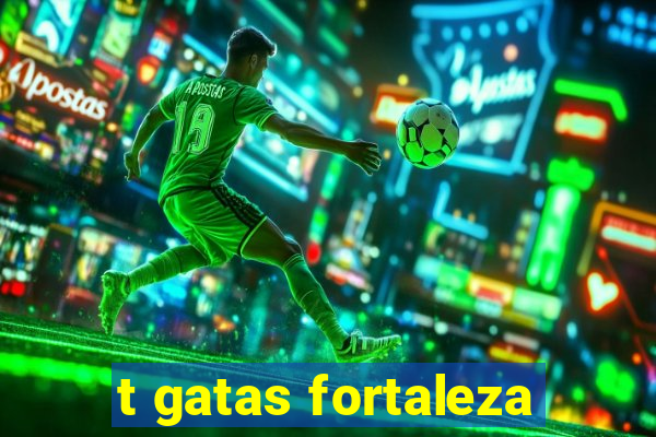 t gatas fortaleza