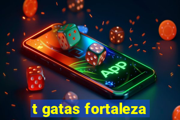 t gatas fortaleza