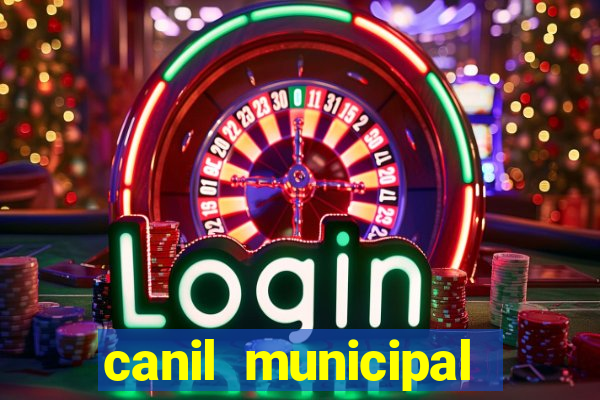 canil municipal porto alegre