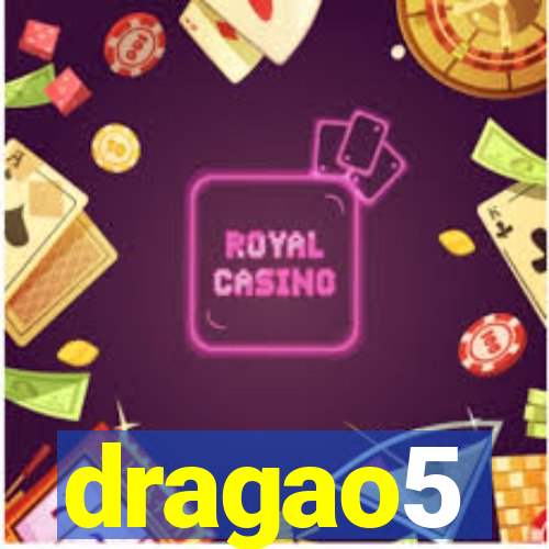 dragao5