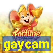 gaycam