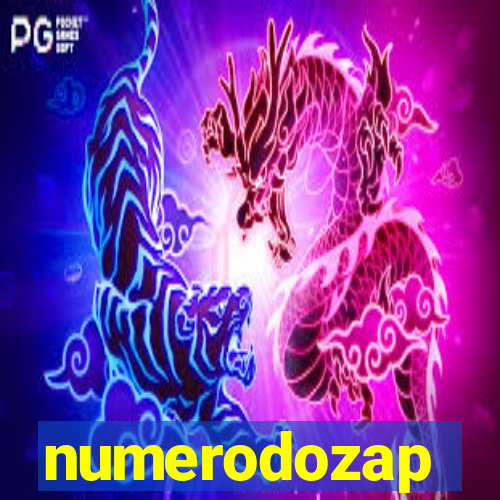 numerodozap