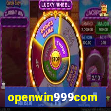 openwin999com