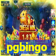 pgbingo