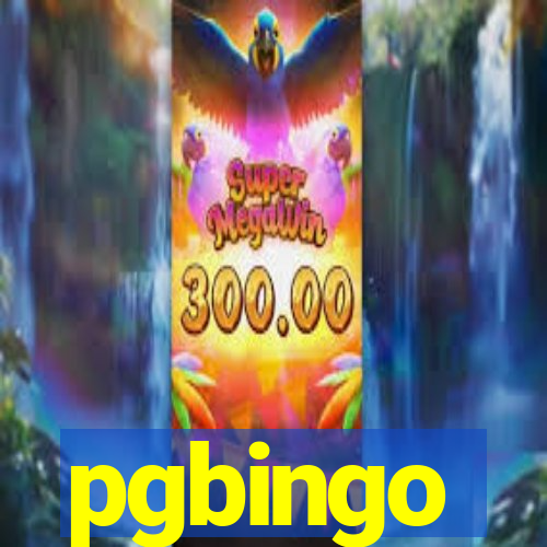 pgbingo