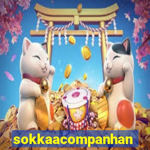 sokkaacompanhantes