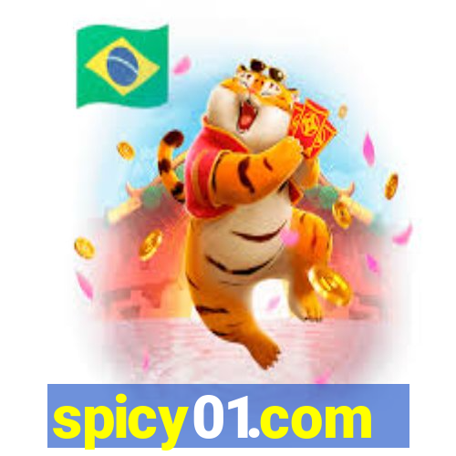 spicy01.com