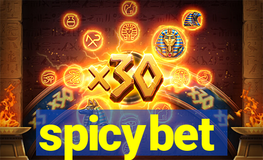 spicybet-2.com