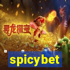 spicybet-3.com