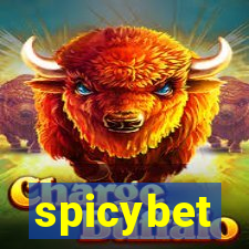 spicybet-4.com