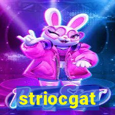 striocgat