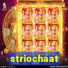 striochaat