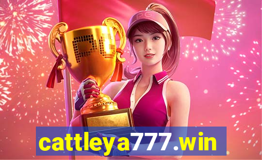 cattleya777.win