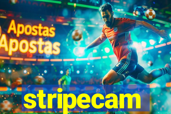 stripecam