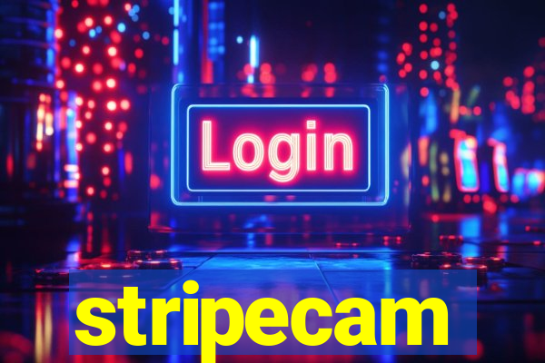 stripecam